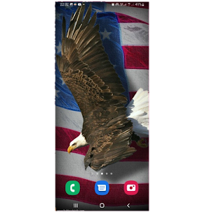 Flag USA Wallpaper
