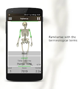 Quiz d'Anatomie Prime