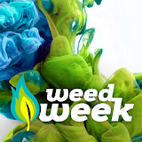 Weed week icon