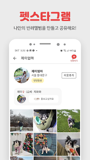 펫시터 방문탁묘 산책 캣시터 애견호텔 애묘호텔 펫보험.