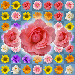 Blossom Blast Puzzle