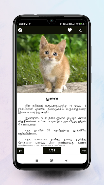 Theriyuma learn GK in Tamil - 1.6 - (Android)