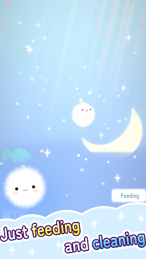 Raise Your Fluff Kesaran Pet