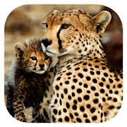 Top 17 Books & Reference Apps Like Stuarts’ African Mammals - Best Alternatives