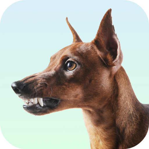 Dog Growling Sounds 3.0.1 Icon