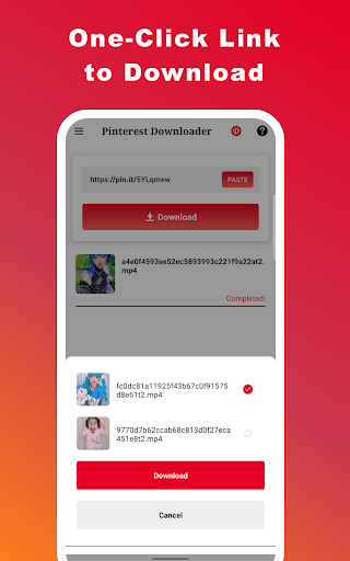 Video Downloader for Pinterest Screen 2