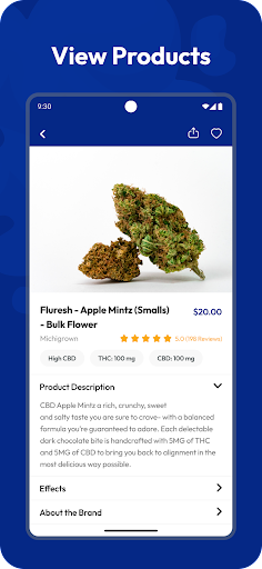 Lake Effect Cannabis Screen 3