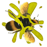 Bee Smasher icon