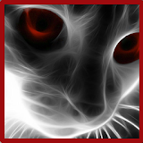 Cat Eyes Live Wallpaper icon
