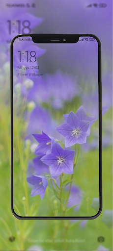 Flower Wallpapers Offline