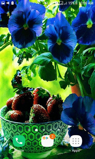 Blue Flowers Butterfly LWP Screenshot 2 - AppWisp.com