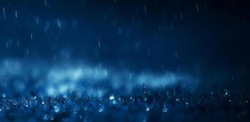 Rain Live Wallpaper Apps On Google Play