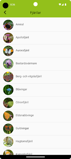 Fjärilar Screen 2