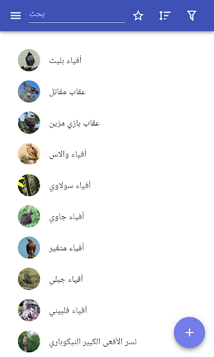 معاينة التطبيق