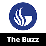 The Buzz: Georgia State icon