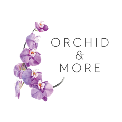 Orchid and More