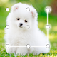 Puppy Dog Pattern Lock Screen Download on Windows