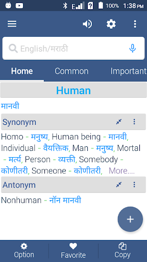 Marathi Dictionary Lite Screen 3