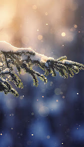 Winter Wallpaper Offline 1.0 APK + Mod (Free purchase) for Android