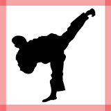 Stronger Shaolin Kung Fu icon