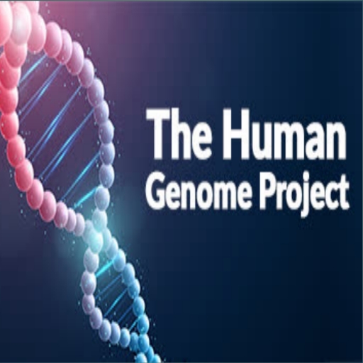 Проект геном человека human genome project Проект геном человека реферат фото