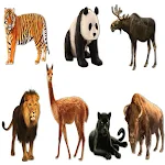 Cover Image of Download AtoZ Animal Name  APK