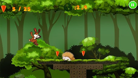 Jungle Bunny Run