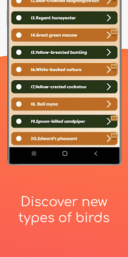 Rare birds - discover the rare Screen 3