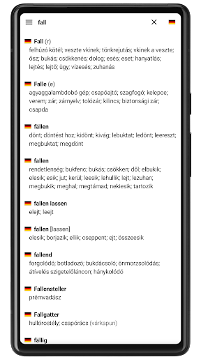 Hungarian Dictionary Screen 2