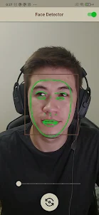 Face Detector