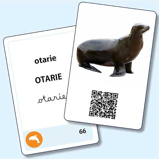 Lecteur Vocabulaire Maternelle logo
