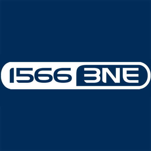 3NE logo