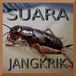 Cover Image of Download Kumpulan Suara Jangkrik  APK