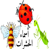 تعليم أسماء الحشرات للأطفال باللغة العربية insects