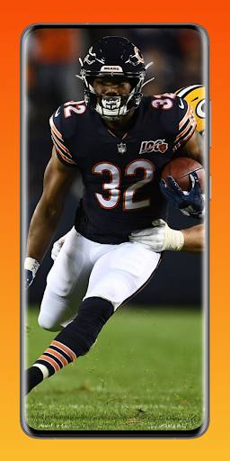 Jacksonville Jaguars Fans