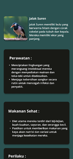 jalak bird care Screen 2