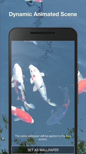 Koi Fish Live Wallpaper Pro Screen 2