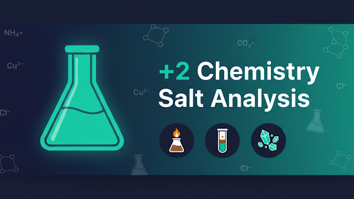 2 Chemistry Salt Analysis