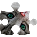 Cats puzzle (jigsaw) icon