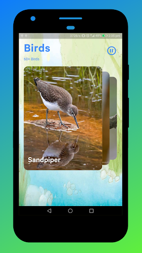 Bird Sounds Screen 3