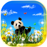 Panda Pretty LWP 2016 icon