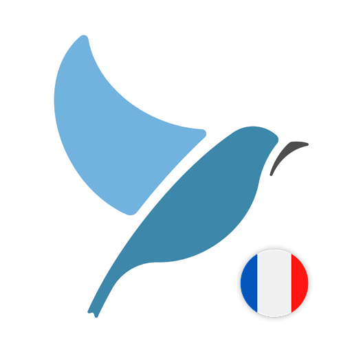 Learn French. Speak French. St 2.2.5 Icon