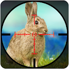 Rabbit Shooting - Wild Hunting 1.1.9