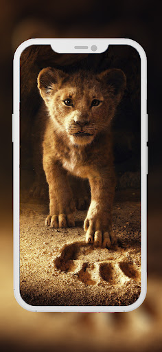 Screenshot of Lion Wallpapers HD - EpicWalls