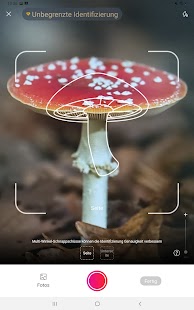 Picture Mushroom - Pilzführer Screenshot