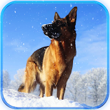 Arctic Shepherd Dog Simulator icon