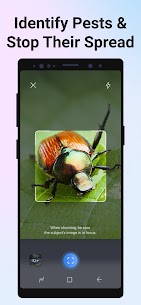 Insetto immagine: identificatore bug Premium MOD APK 4