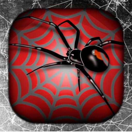 Spider Wallpaper Live HD/3D/4K 4.0.8 Icon