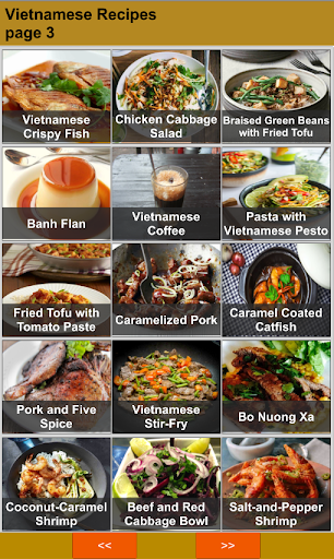 Vietnamese Recipes Offline Screen 3