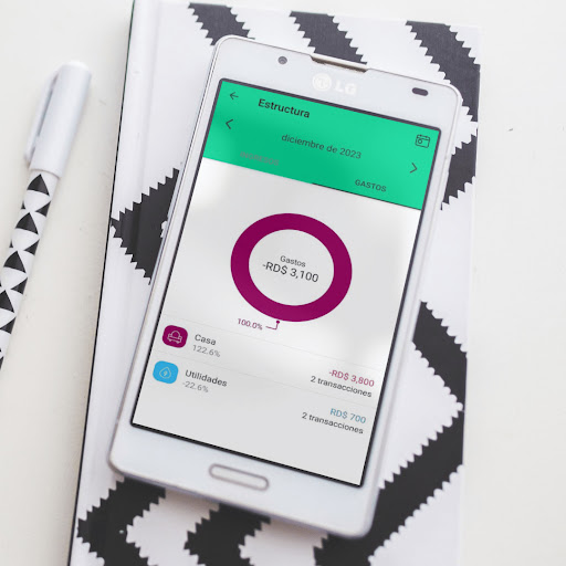 Expense Manager Screen 2